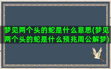 梦见两个头的蛇是什么意思(梦见两个头的蛇是什么预兆周公解梦)