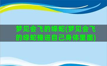 梦见会飞的绿蛇(梦见会飞的绿蛇撞进自己身体里面)