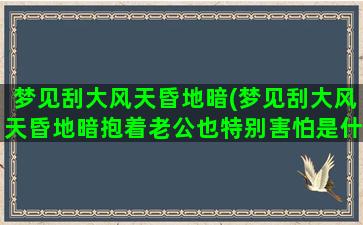 梦见刮大风天昏地暗(梦见刮大风天昏地暗抱着老公也特别害怕是什么意思啊)