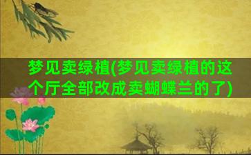 梦见卖绿植(梦见卖绿植的这个厅全部改成卖蝴蝶兰的了)