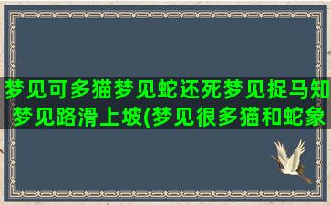 梦见可多猫梦见蛇还死梦见捉马知梦见路滑上坡(梦见很多猫和蛇象征着什么)