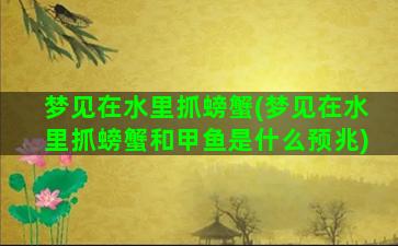 梦见在水里抓螃蟹(梦见在水里抓螃蟹和甲鱼是什么预兆)