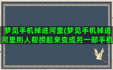 梦见手机掉进河里(梦见手机掉进河里别人帮捞起来变成另一部手机)