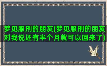 梦见服刑的朋友(梦见服刑的朋友对我说还有半个月就可以回来了)