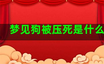 梦见狗被压死是什么意思