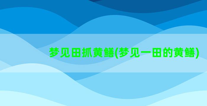 梦见田抓黄鳝(梦见一田的黄鳝)