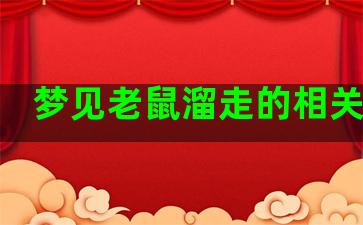 梦见老鼠溜走的相关解析