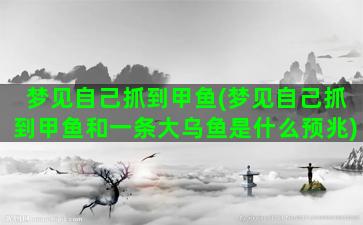 梦见自己抓到甲鱼(梦见自己抓到甲鱼和一条大乌鱼是什么预兆)