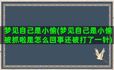 梦见自己是小偷(梦见自己是小偷被抓啦是怎么回事还被打了一针)