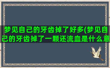 梦见自己的牙齿掉了好多(梦见自己的牙齿掉了一颗还流血是什么意思)