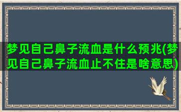 梦见自己鼻子流血是什么预兆(梦见自己鼻子流血止不住是啥意思)