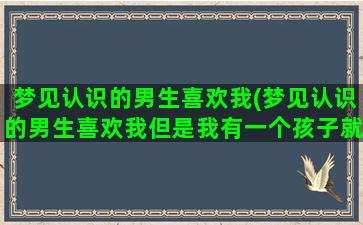 梦见认识的男生喜欢我(梦见认识的男生喜欢我但是我有一个孩子就不喜欢我了)