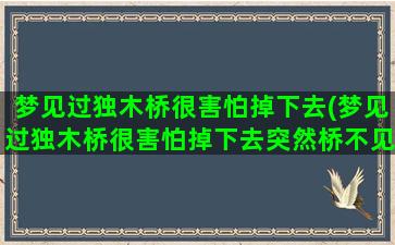 梦见过独木桥很害怕掉下去(梦见过独木桥很害怕掉下去突然桥不见了)