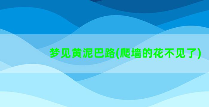 梦见黄泥巴路(爬墙的花不见了)