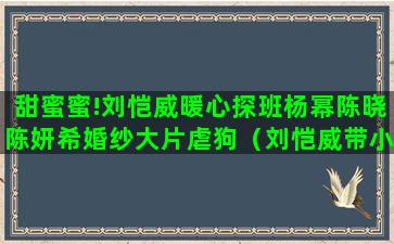 甜蜜蜜!刘恺威暖心探班杨幂陈晓陈妍希婚纱大片虐狗（刘恺威带小糯米探班杨幂）(暖婚甜蜜蜜)