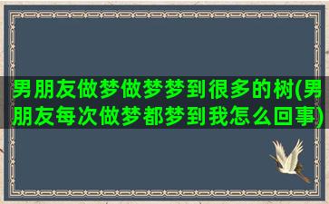 男朋友做梦做梦梦到很多的树(男朋友每次做梦都梦到我怎么回事)