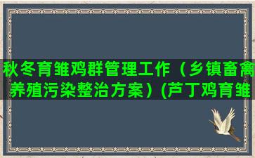 秋冬育雏鸡群管理工作（乡镇畜禽养殖污染整治方案）(芦丁鸡育雏管理)