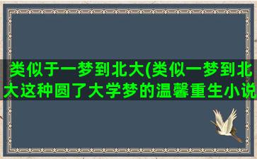 类似于一梦到北大(类似一梦到北大这种圆了大学梦的温馨重生小说)