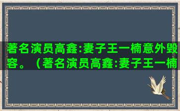 著名演员高鑫:妻子王一楠意外毁容。（著名演员高鑫:妻子王一楠意外毁容是第几集）